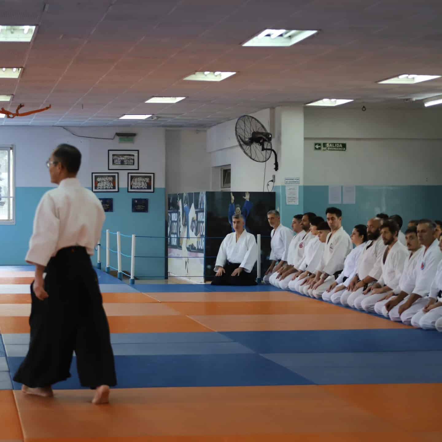 BOKKEN GIAPPONESE DAITO RYU CON SAYA per AIKIDO KENJUTSU IAIDO IAITO KENDO Tsuba